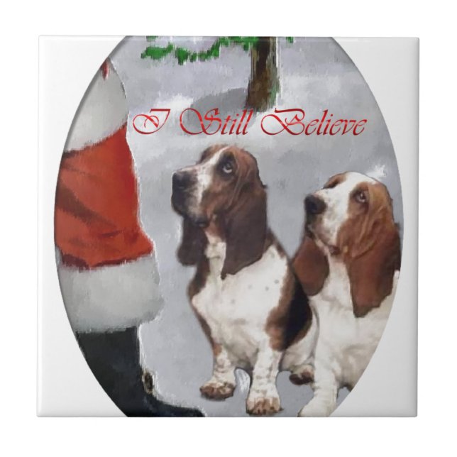 Basset Hound Natal (Frente)