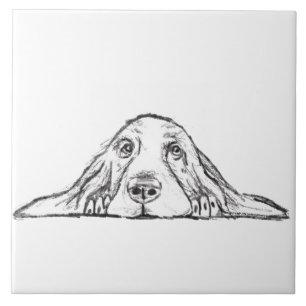 basset hound preto branco simples olhos de cachorr