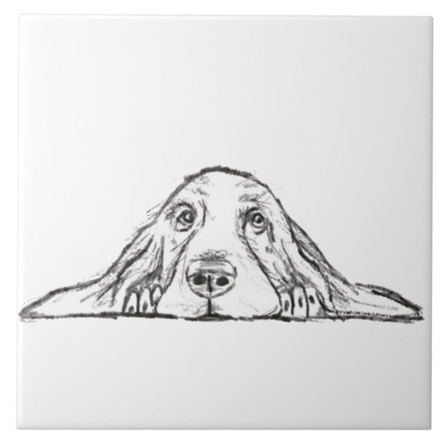 basset hound preto branco simples olhos de cachorr (Frente)