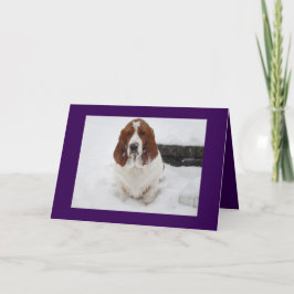 Basset Hound sem o cartão de saudação.