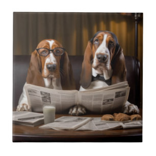 Basset hounds fofos lendo jornal