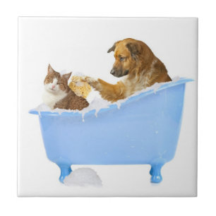 Bath calcular o tempo