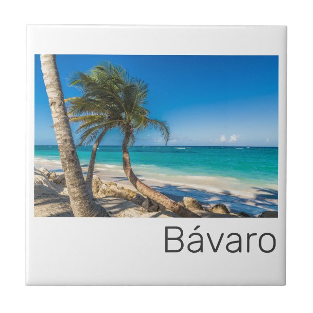 Bavaro Beach Caribe República Dominicana Souvenir (Frente)