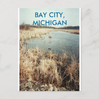 BAY CITY, CARTÃO POSTAL MICHIGAN