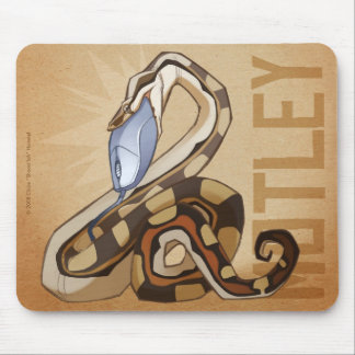 BCI heterogéneo Mousepad