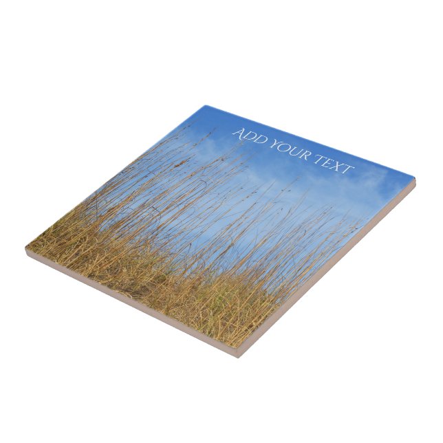 Beach Grass por Shirley Taylor (Lateral)