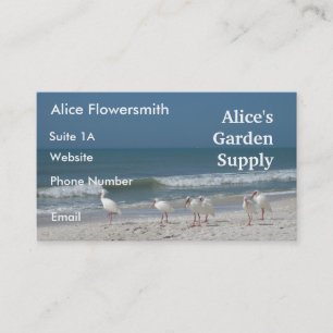 Beach Ibis- Cartão de visita