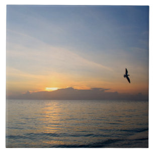 Beach Ocean Sunset Photo 195