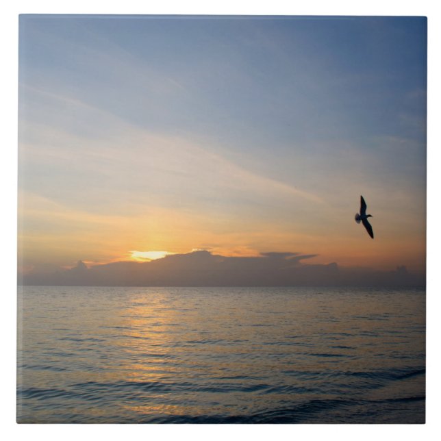Beach Ocean Sunset Photo 195 (Frente)