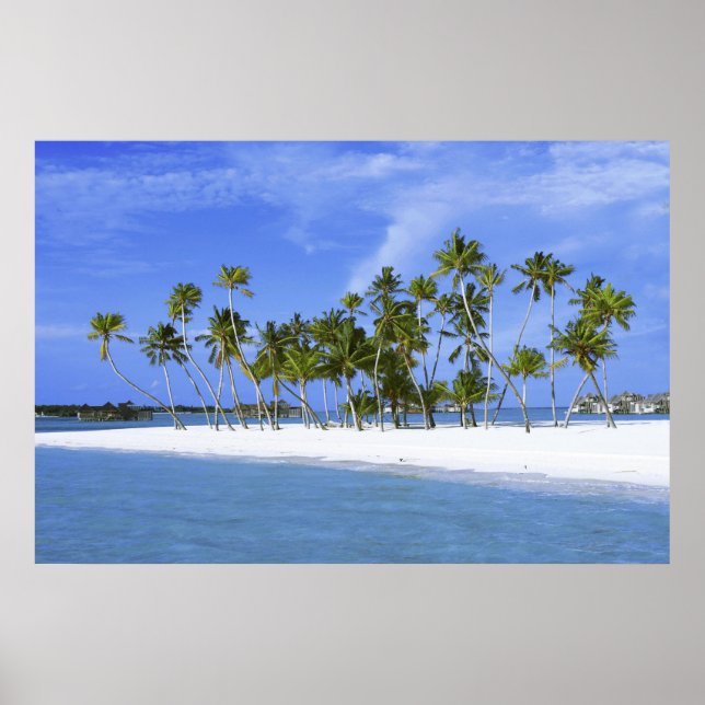 beach paradise with hammock_Maldives poster (Frente)