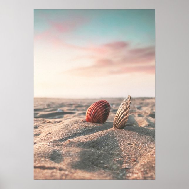 Beach Sunset Sea Shell Beach Poster (Frente)