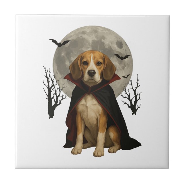 Beagle (Frente)