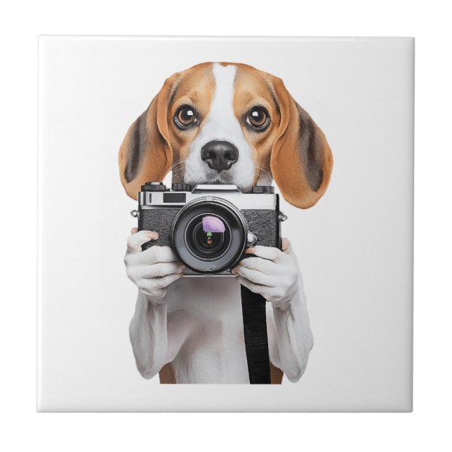 Beagle (Frente)