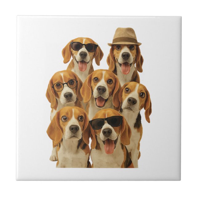 Beagle (Frente)