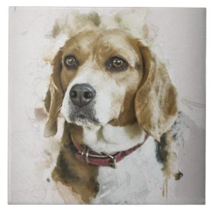BEAGLE AMOR, Pet Familiar, Cão de Salvamento, Mel