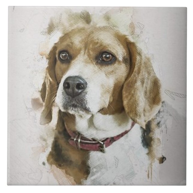 BEAGLE AMVE, Pet Familiar, Cachorro de Emergência, (Frente)