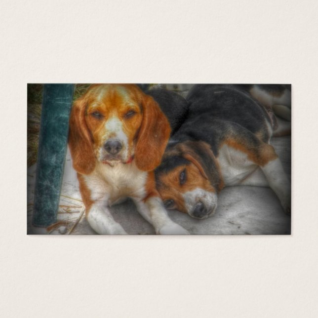 Beagle Brothers (Frente)