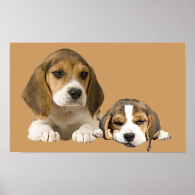 Beagle Buddies Impressão (Frente)