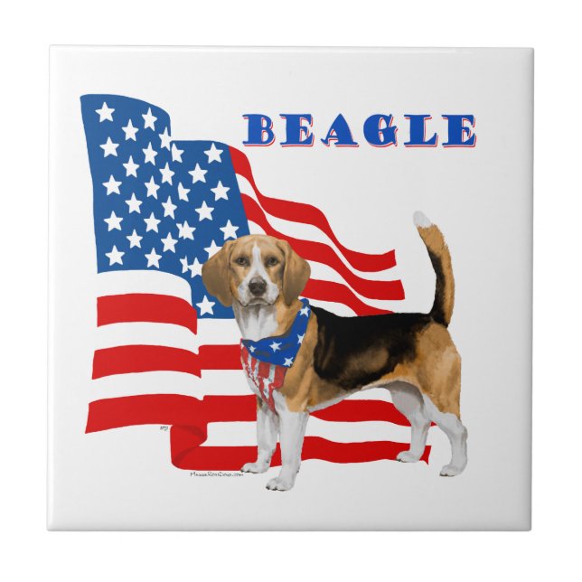 Beagle com Bandeira Americana (Frente)