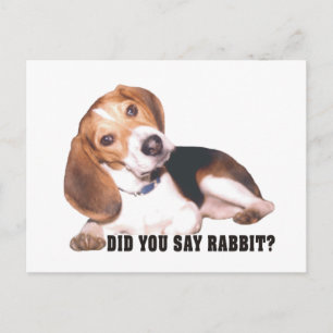 Beagle Disse Coelho? Cartão Postal