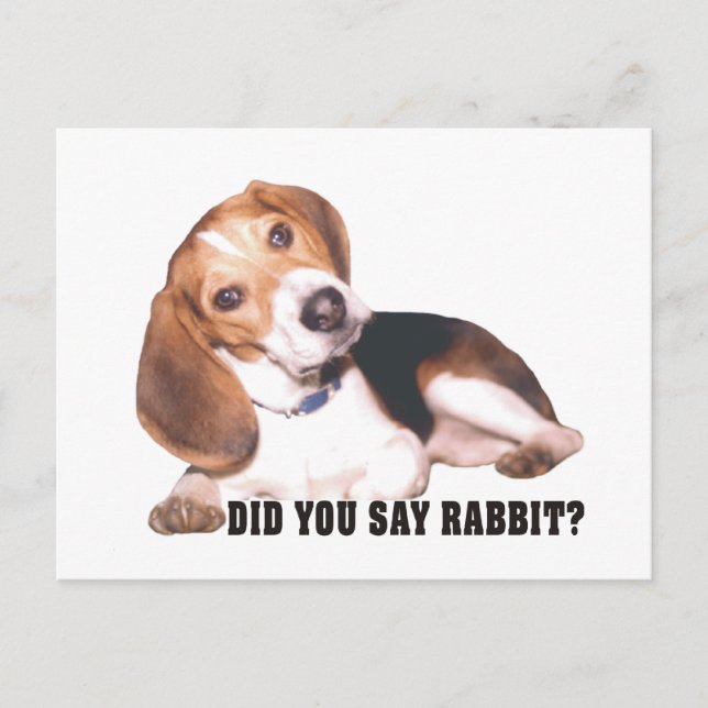 Beagle Disse Coelho? Cartão Postal (Frente)