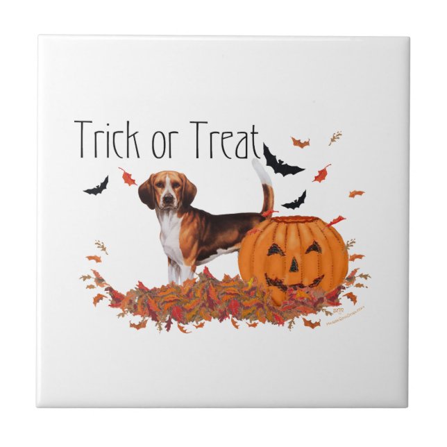 Beagle Halloween (Frente)