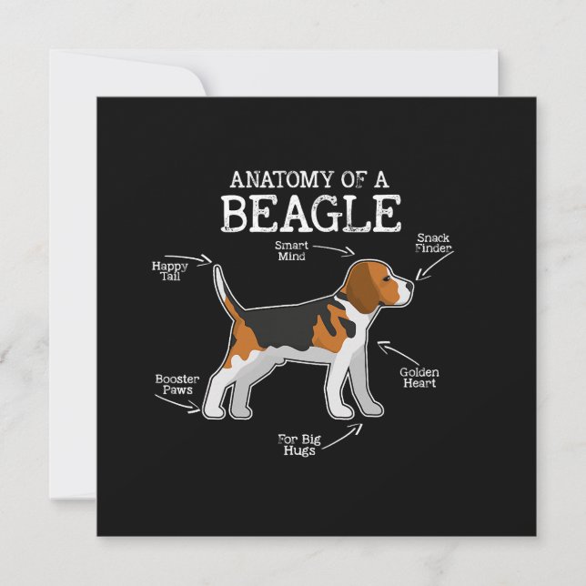 Beagle Lovers/ Anatomia De Um Beagle (Frente)