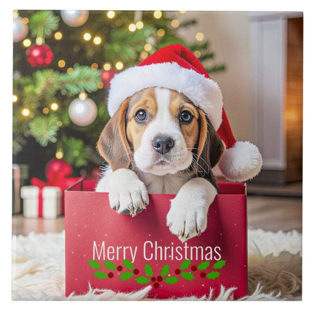 Beagle Puppy Christmas Design, (Frente)
