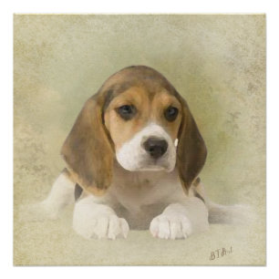 Beagle Tapeçaria Faux Canvas Imprimir Impressão 