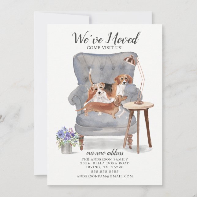 Beagle Terrier & Dachshund | Anúncio de mudança (Frente)