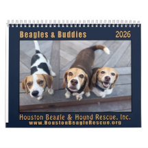 Beagles e Amigos Calendário 2026