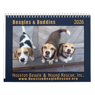 Beagles e Amigos Calendário 2026