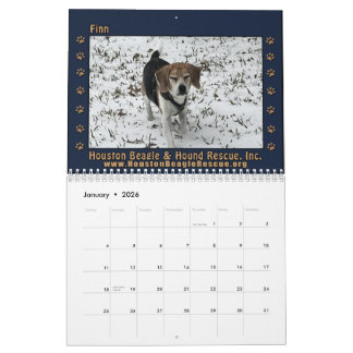 Beagles e Amigos Calendário 2026