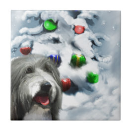 Bearded Collie Christmas