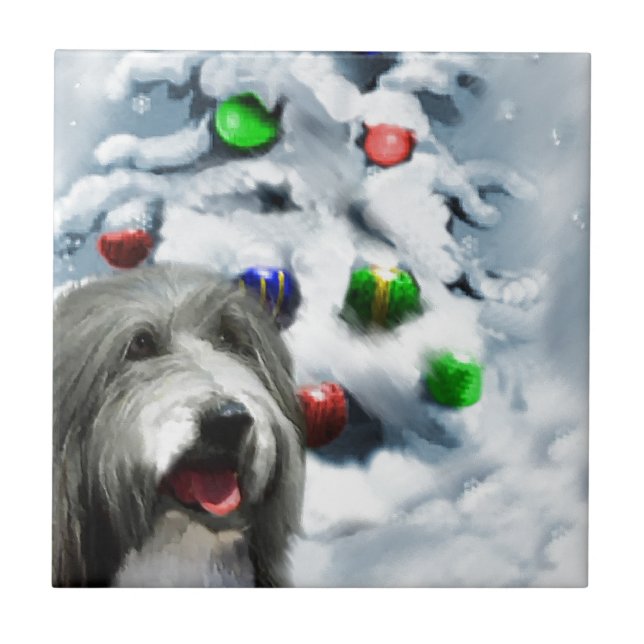Bearded Collie Christmas (Frente)