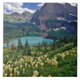 Beargrass acima do Lago Grinnell no Many