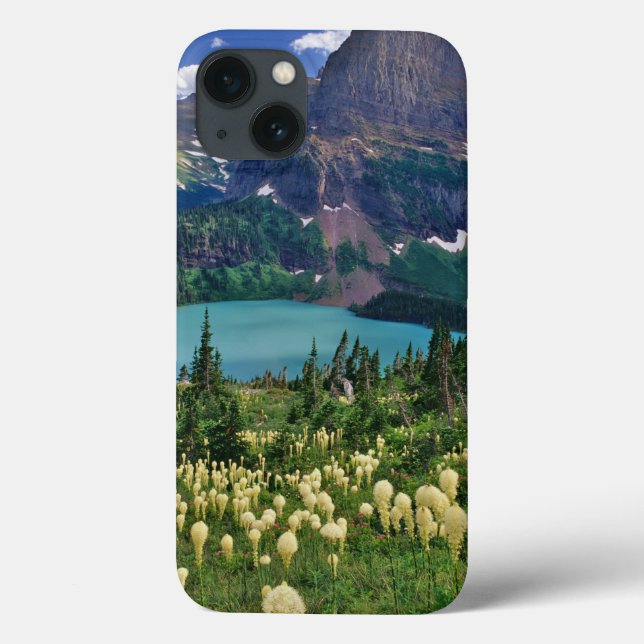 Beargrass acima do Lago Grinnell no Many (Verso)
