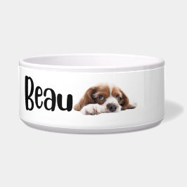 Beau - cães e gatos - tigela personalizada