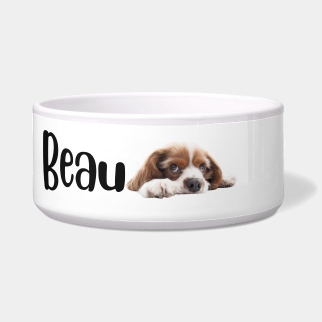 Beau - cães e gatos - tigela personalizada (Frente)