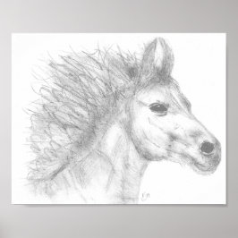 Beautiful Horse Pencil Sketch Poster