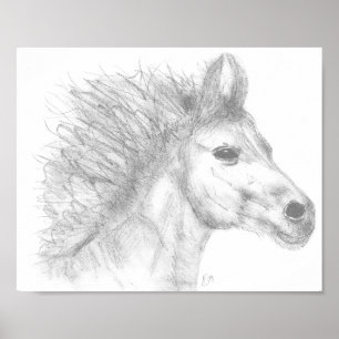 Beautiful Horse Pencil Sketch Poster