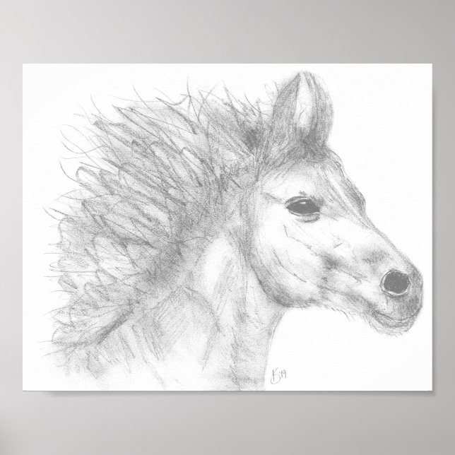 Beautiful Horse Pencil Sketch Poster (Frente)