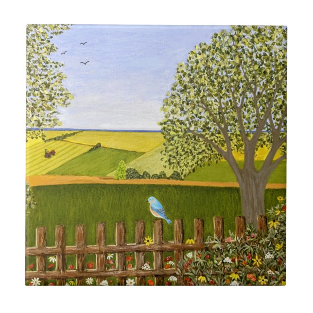 Beautiful View (Frente)