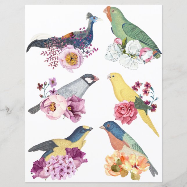 Beautiful vintage birds with flowers scrapbooking (Frente)