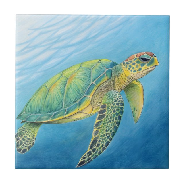 Beauty of the turtle (Frente)