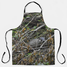 Beaver Ocupado