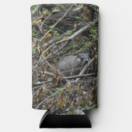 Beaver Ocupado