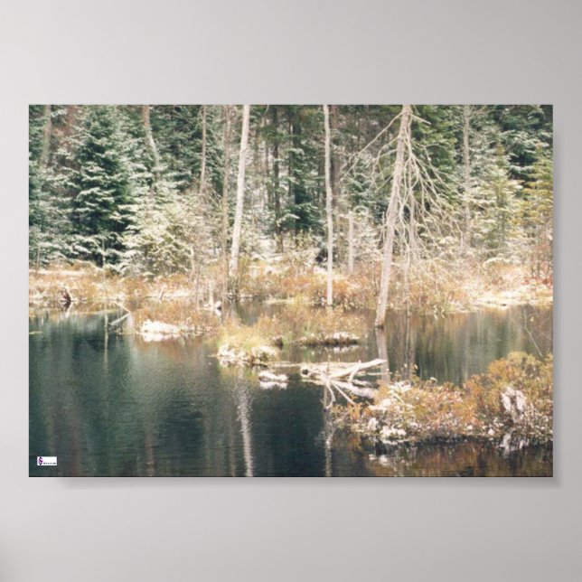 Beaver Pond Poster (Frente)
