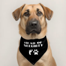 Bebê Anunciando Pet Banda