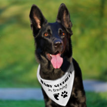 Bebê Anunciando Pet Banda